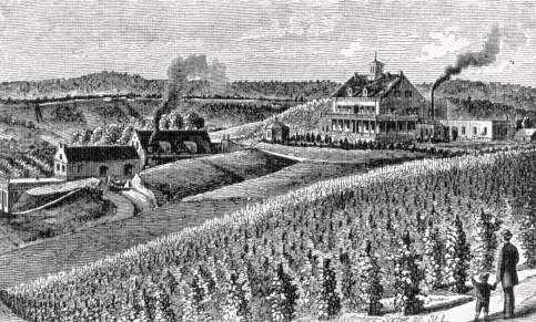 A History of Wine in America &quot;d0e9736&quot;