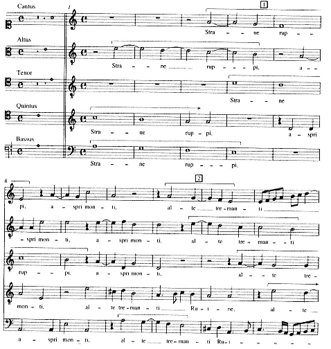 Phrygian In The Rhythm – 1537