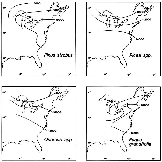 Plant Migration