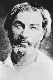 The Erotic Whitman