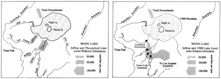 Stream Ecosystem Flows mean big water in Lee Vining Creek