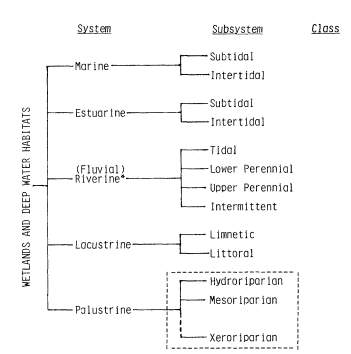 Cowardin Classification Chart