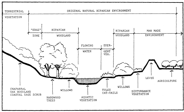 California Riparian Systems 